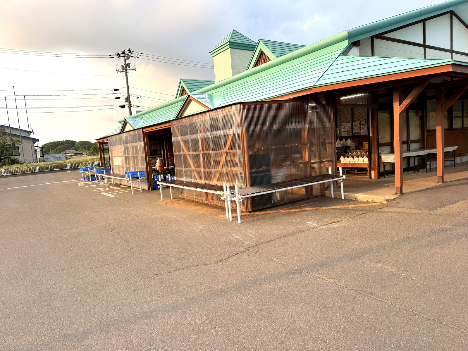 特産品メロンの販売準備が始まりました ～ドラゴンフレッシュセンター～ 写真3