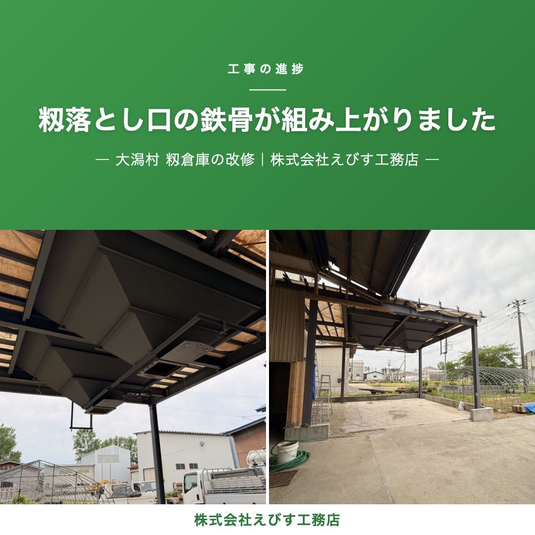 【大潟村】籾（もみ）落とし口の鉄骨が組み上がりました ─ 籾倉庫の改修、進んでいます