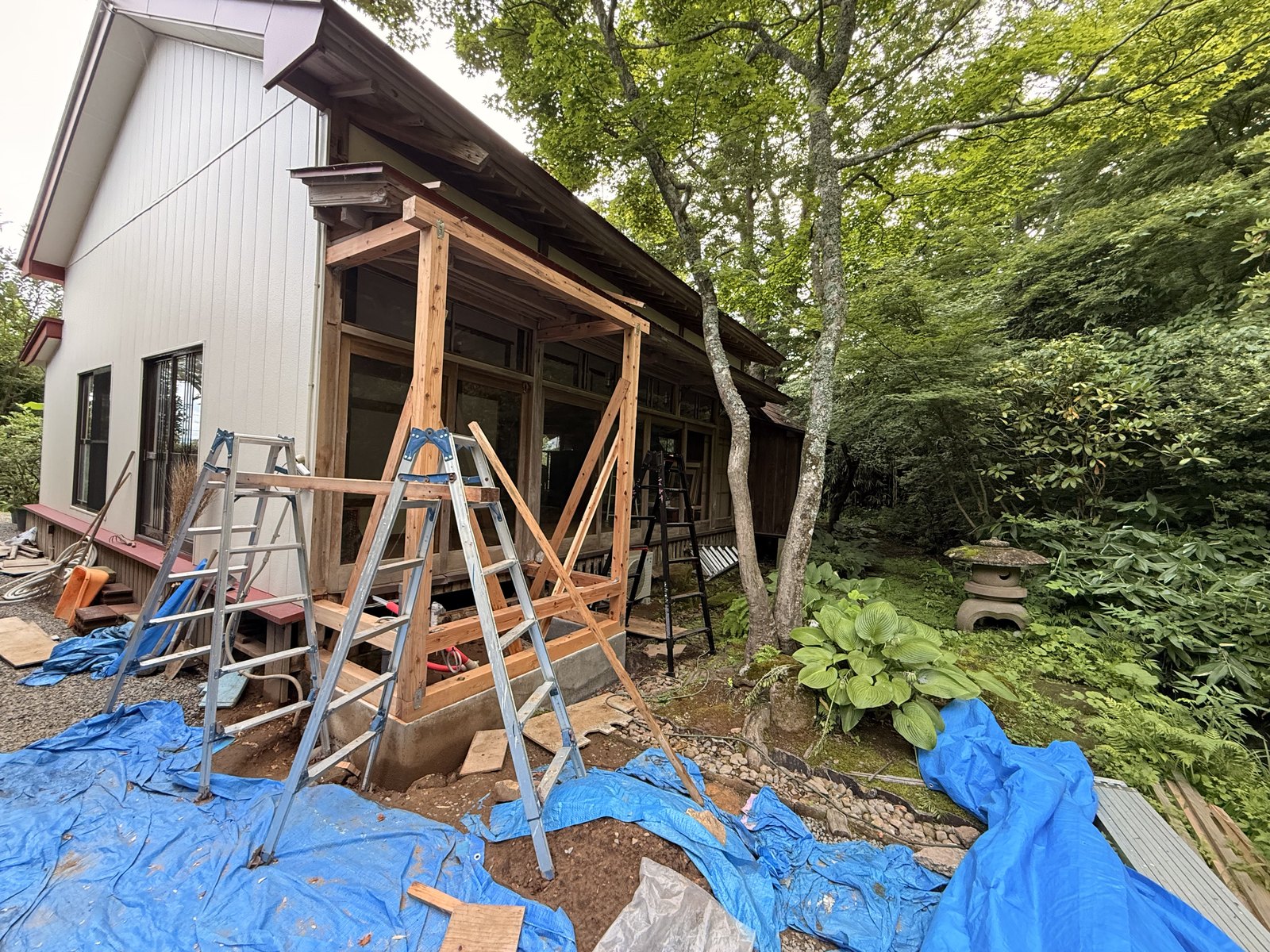 骨組みが組み上がりました。白い母屋と離れのあいだに納まっています